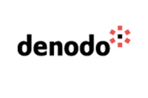 Denodo Company Logo