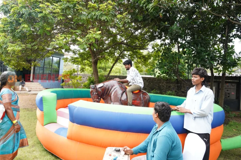 Mechanical bull ride
